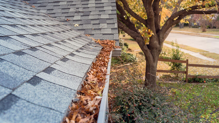 Nettoyage de gouttières